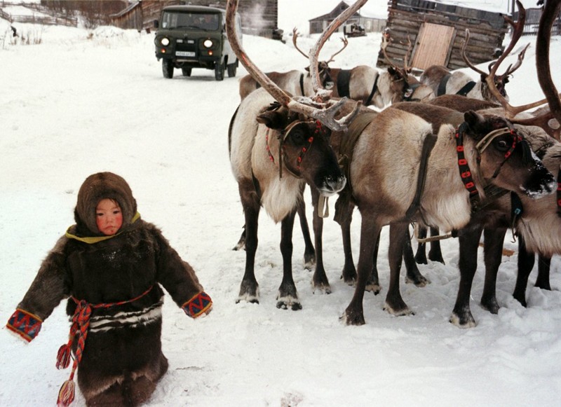 Девочка из народа ханты проходит мимо оленей в минус 30 в селе Аксарка, 2 тысячи километров от Москвы, 6 ноября 1998 года.