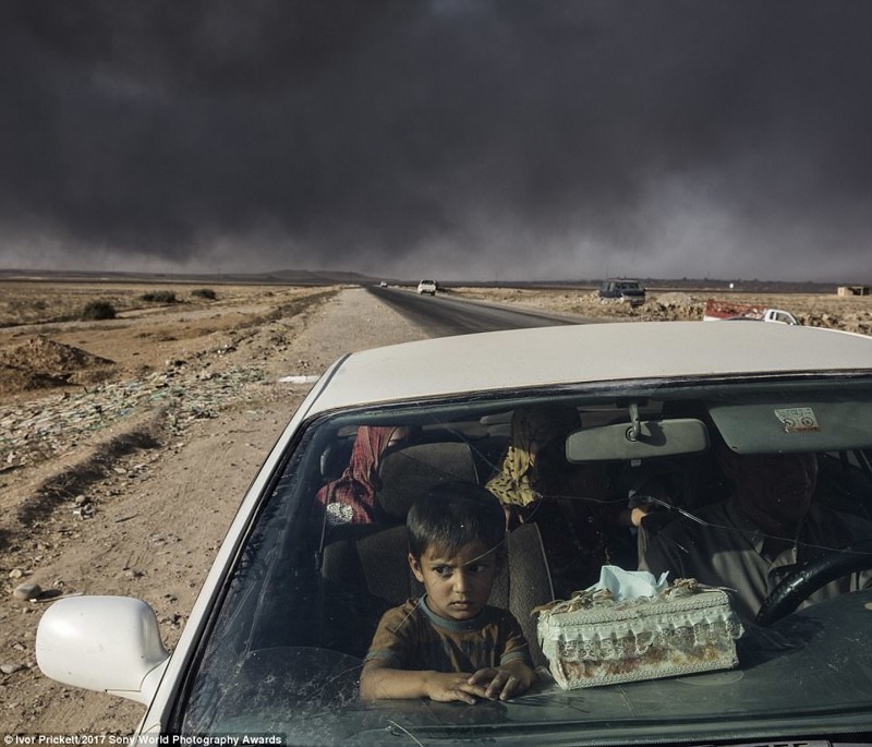Иракские беженцы из региона Шора рядом с Мосулом, где их застали бои правительственной армии с боевиками ИГ, добрались до контрольно-пропускного пункта на севере Эль-Кайяры