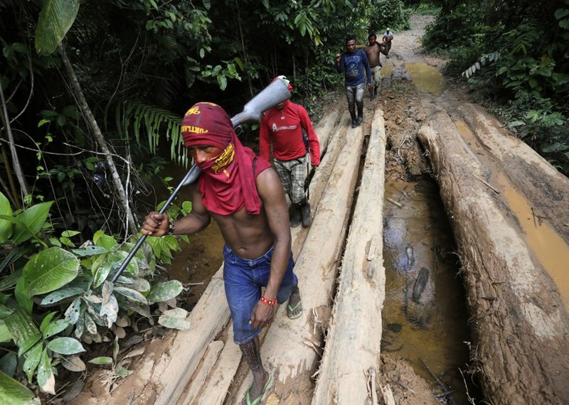 Как жители Амазонки защищают собственные леса