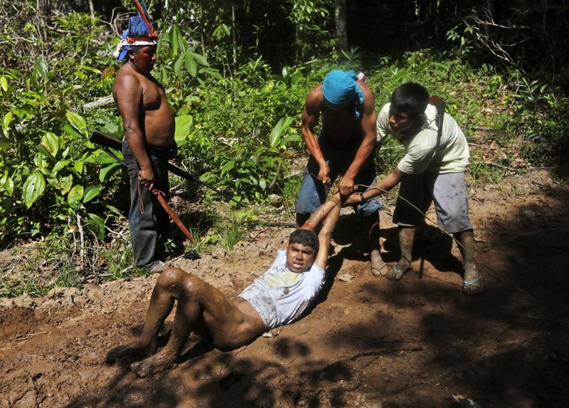 Как жители Амазонки защищают собственные леса