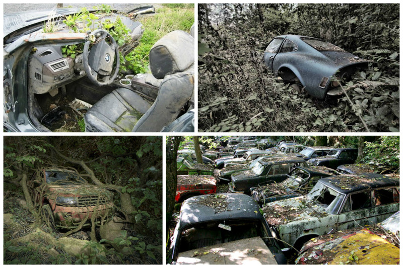 Заброшенные автомобили - кладбища ушедшей  красоты