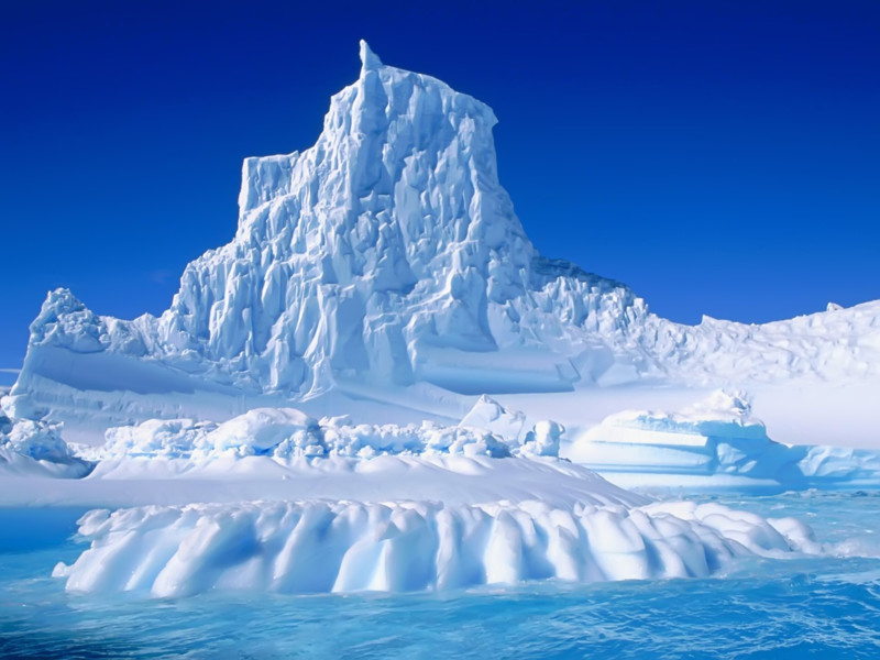 Каким ледником покрыта Антарктида?