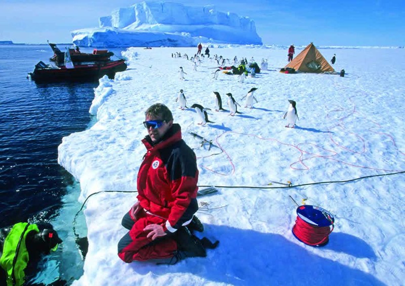 В Антарктиде нет постоянных жителей