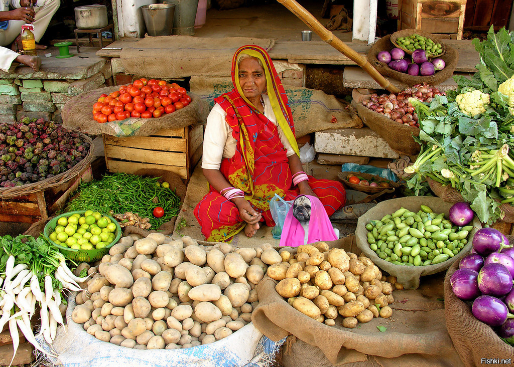 Овощи в индии