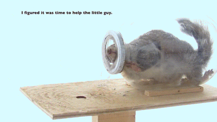 Поможем подопытному