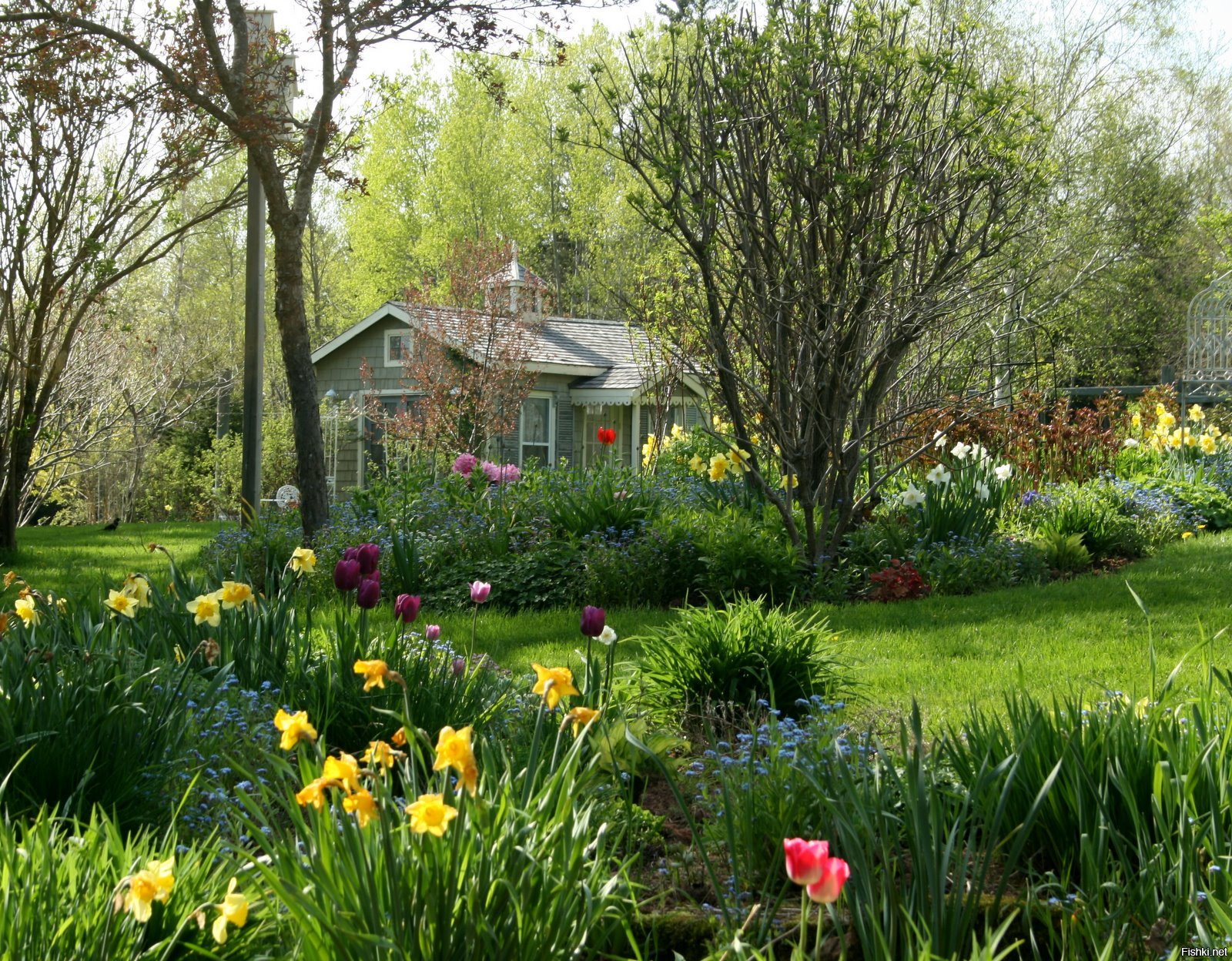 Дом в цветущем саду. Айкен Хаус и Гарден. Сад Каролин Айкен. Канада. Весенние цветущие усадебные сады Англии. Весенний сад (Spring Topiary Garden).