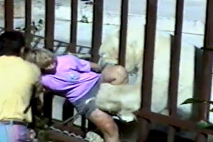 3. Нападение белого медведя на посетительницу зоопарка в Анкоридже, 1994 г.
