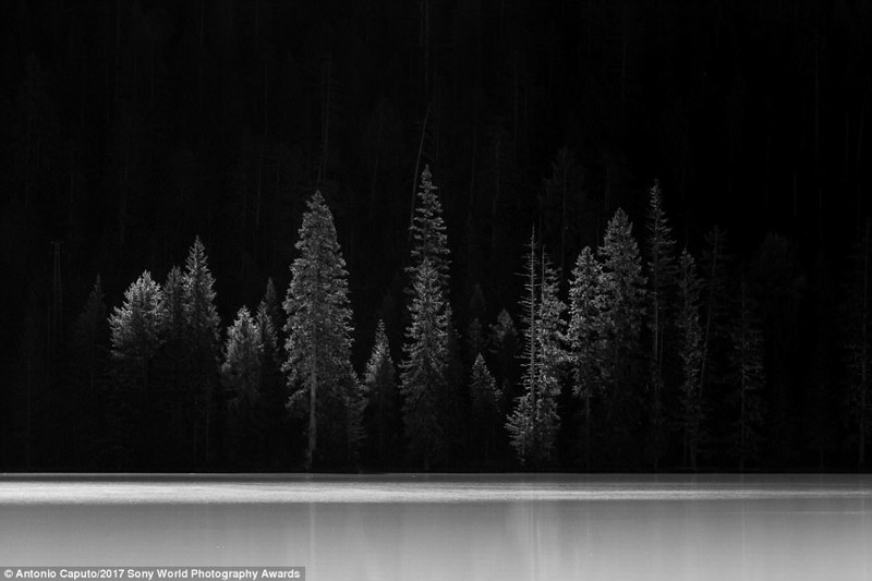 Призрачный лес. Итальянские Альпы, фотогра Антонио Капуто