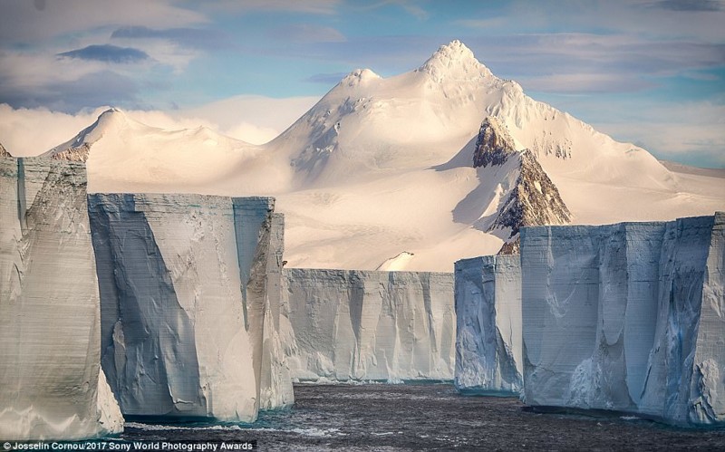Белая стена. Группа айсбергов в Антарктике