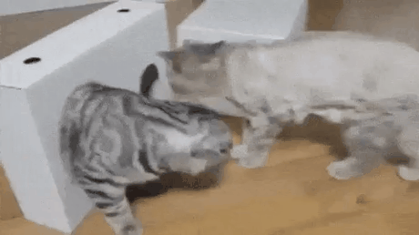 Полная безысходность