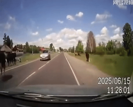 Спас или нанес травму? Спас или нанес травму?