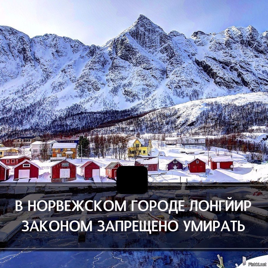 В какой стране запрещено умирать. В какой стране запрещено умирать. Нелепые законы в разных странах. Есть мороженое запрещено. В индии запрещено есть мороженое ртом.