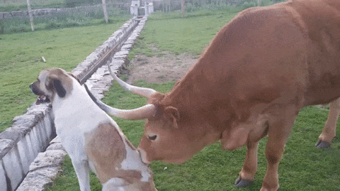 Хорошо-то как