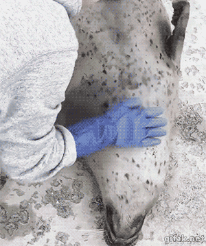 "Чувствуешь, как стучит?"