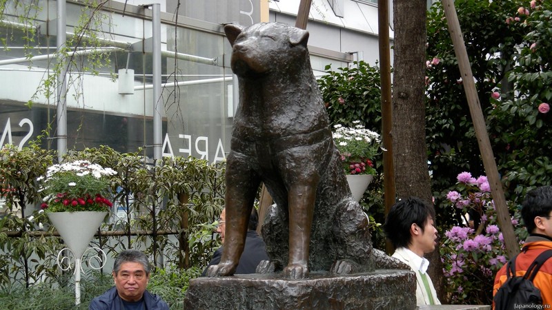 Памятник Хатико, Токио, Япония
