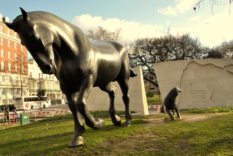Памятник погибшим в войне животным, Лондон, Великобритания