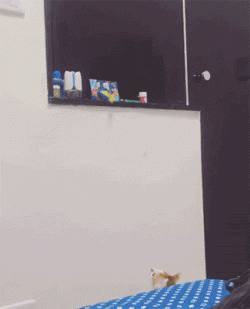 Пришел на подмогу