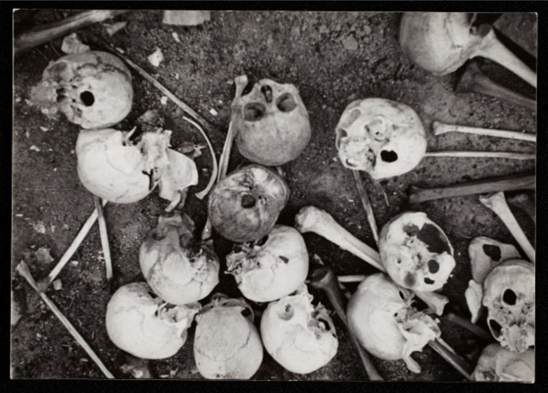 1940 - 1944. Черепа и кости, закопанные в земле