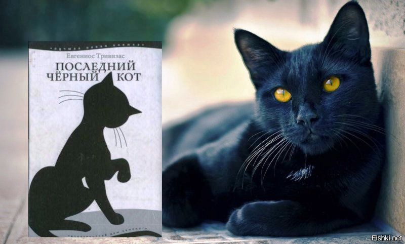 Black cat english. Евгениос Тривизас последний черный кот. Последний черный кот Евгениос Тривизас книга. Последний черный кот книга. Книги про черных котов.