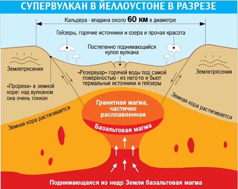 Первая война Трампа