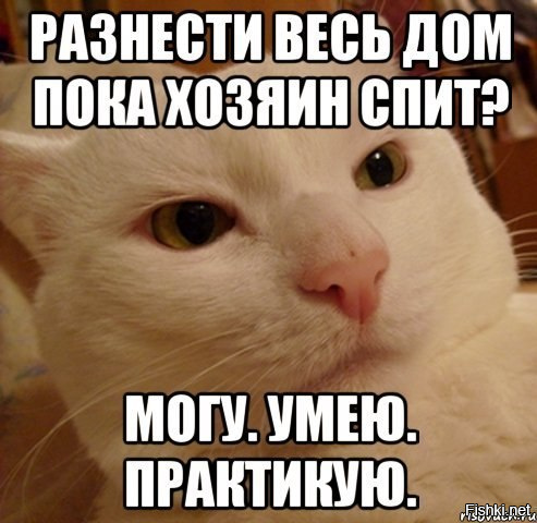Володька наглаженный оригинал