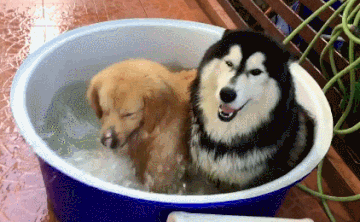 Водные процедуры