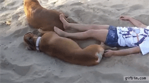 Терпение не выдержало