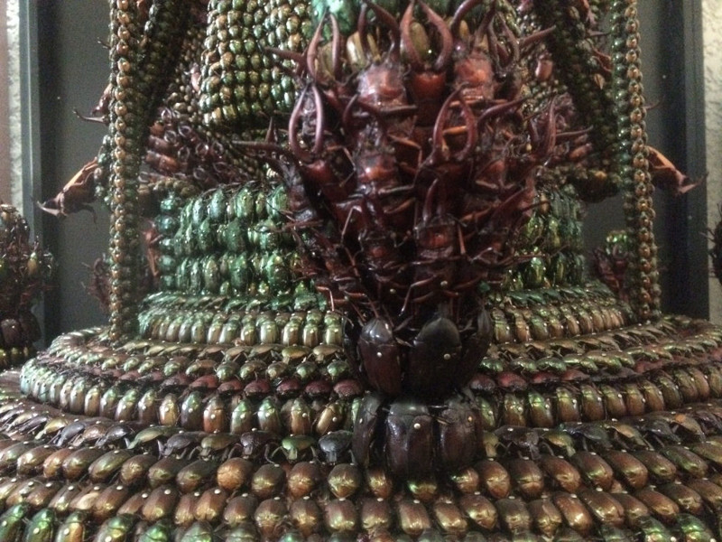 20000 жуков на статую Будды