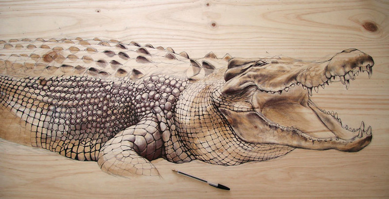 Крокодил (ручка, тушь)