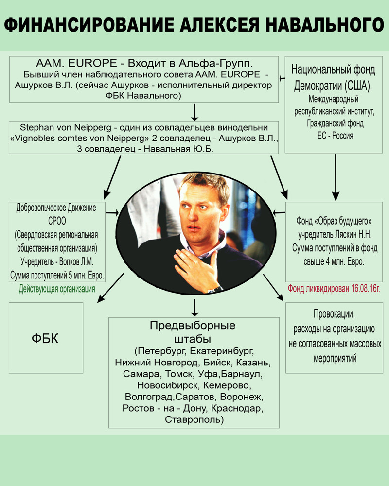 Фонды Навального: откуда у Алексея деньги на штабы, манифестации и выплаты школьникам по 10 000 евро