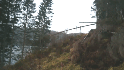 Падение дерева на провода