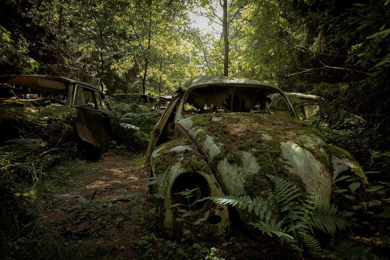 10. Много закончивших свой век машин можно встретить в лесах Европы. 