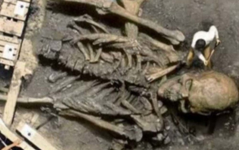 Скелет древнего гиганта