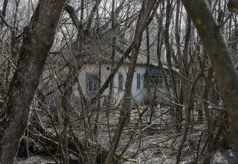 4. Заброшенное село Залесье вблизи Чернобыльской АЭС в Украине