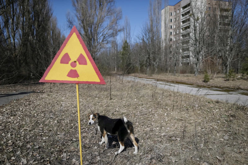 20. Радиоактивная собака возле знака, предупреждающего о радиации. Припять