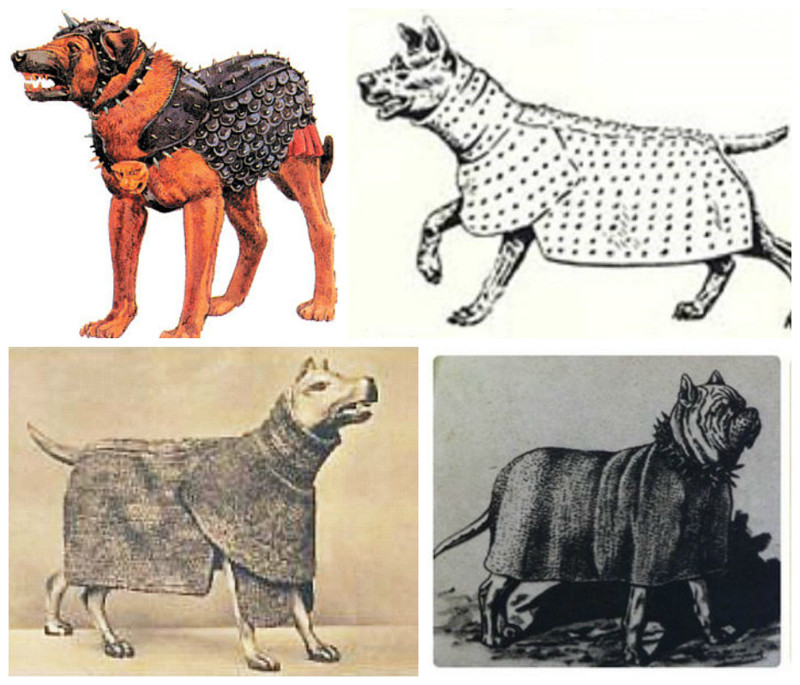 Ассирийские и римские доспехи для собак