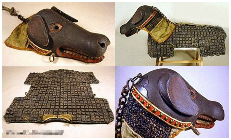 Этот костюм собаки доспехи - идентифицируются как японская броня. Скорее всего собака принадлежала богатому самураю  или дайме (феодал)  ( с середины 18 до середины 19-го века).