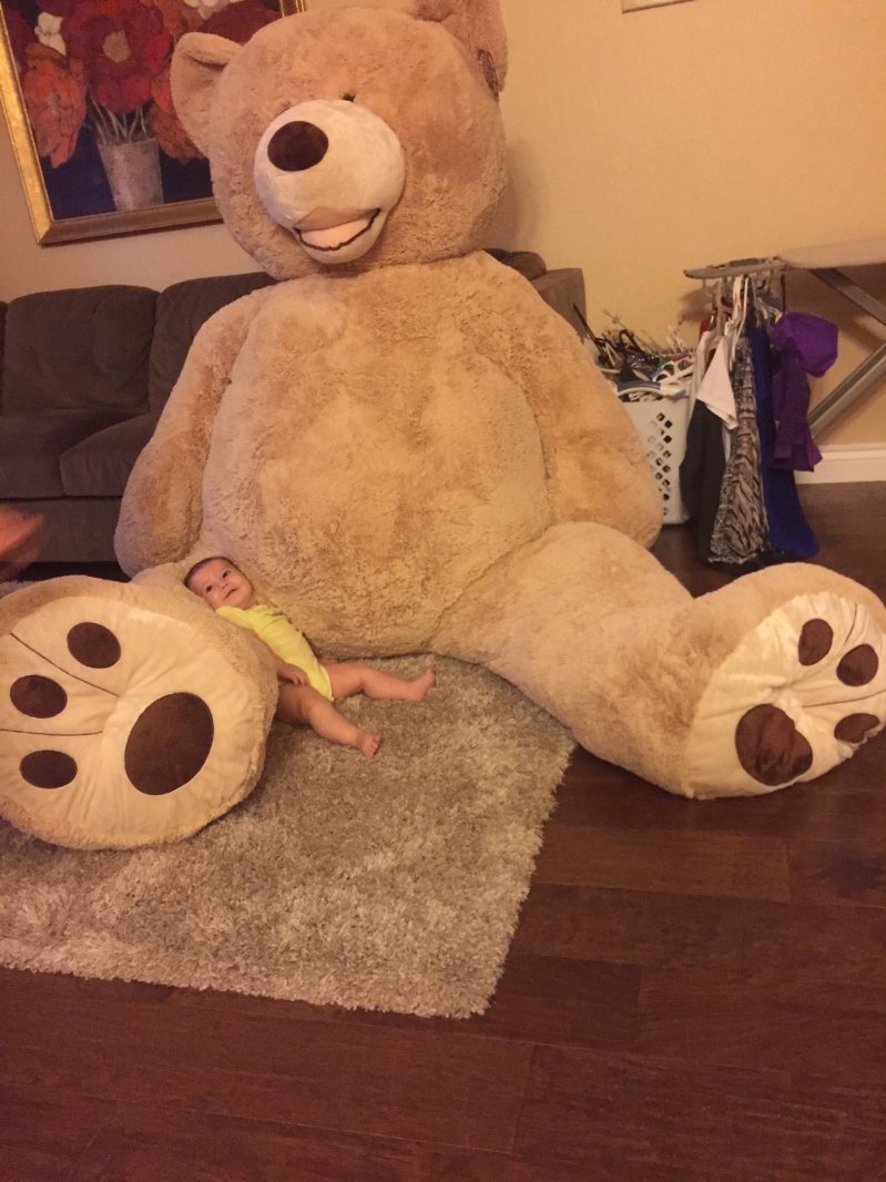 Малышка и гигантский медведь 