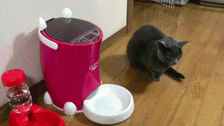 "Не верю глазам своим"