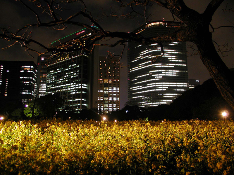 Сад и парк Хамарикю в Токио