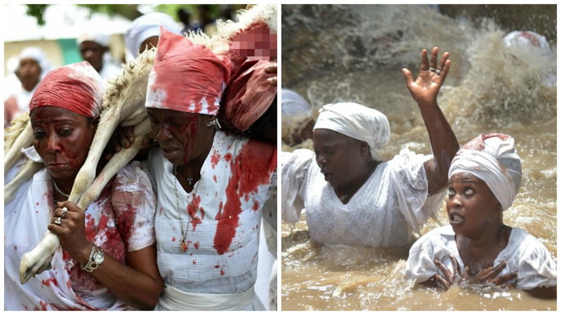 Купание в крови: одержимые гаитянские вудуистки приносят в жертву козлов