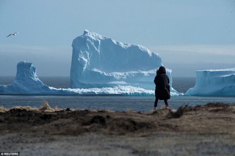 К берегам Канады приплыл огромный айсберг!