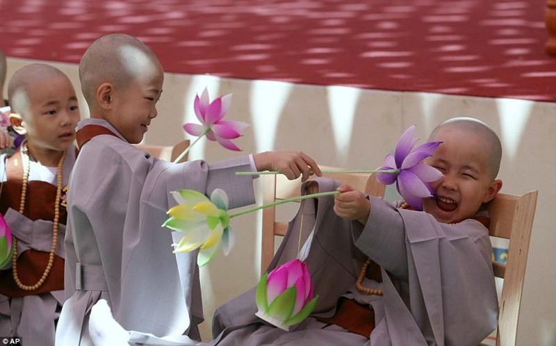 Мальчикам вручают фонари в виде лотоса. Этот невероятный райский цветок растет на плавающих листах водяной лилии в застойных или болотистых водоемах, а в буддизме являются символом возвышения над «грязью» мирской жизни для достижения просветления