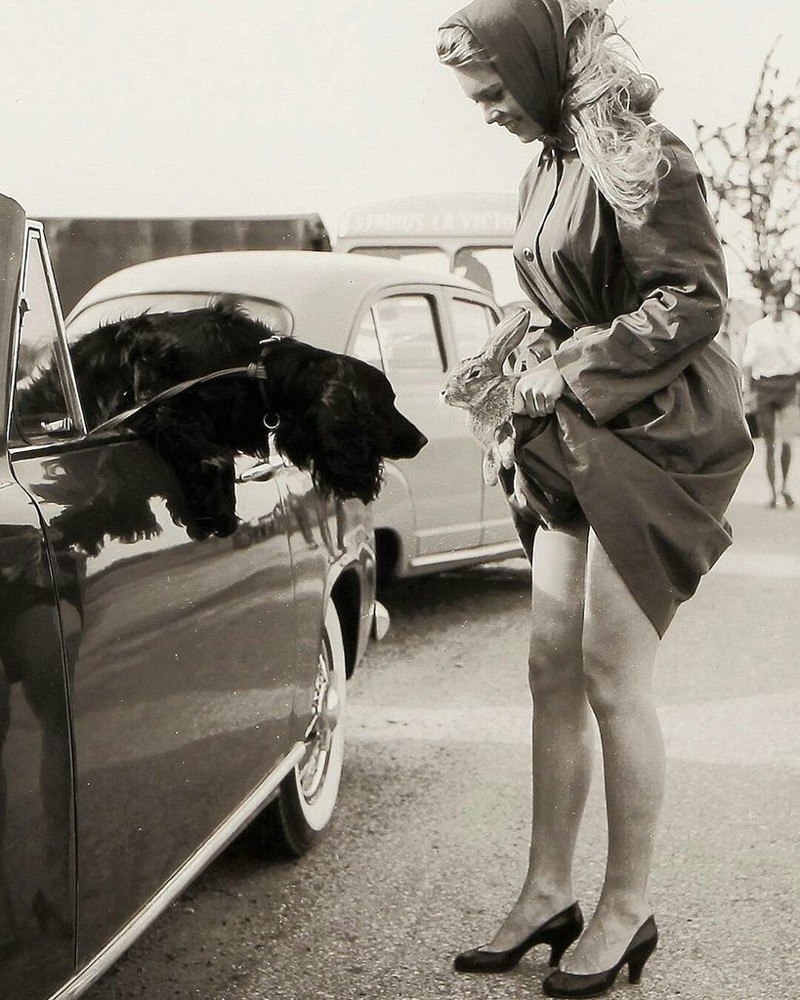 Брижит Бардо с кроликом и ее собакой, 1956.