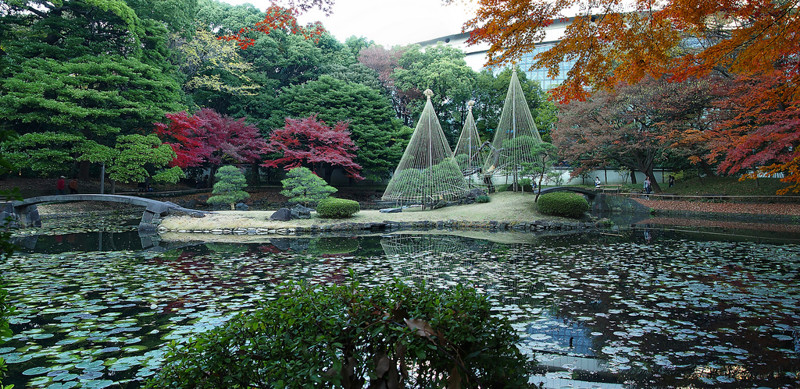 Сад Коисикава Коракуэн в Токио