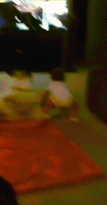 Самое мягкое местечко