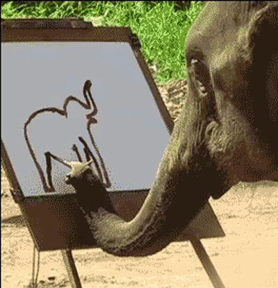 Гифки дня Гифки дня