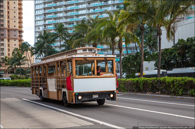 Здесь по улицам ездят самые настоящие деревянные автобусы. Как рейсовые, так и экскурсионные. Кстати, все автобусы на Гавайах совершенно без стекол, т.к. о зиме здесь даже не слышали.