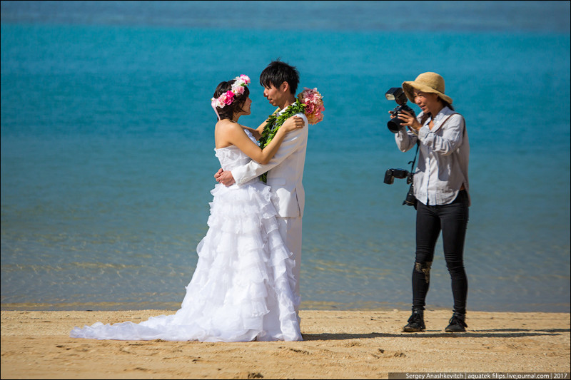 Гавайи – место паломничества свадебных парочек для фотосессий. Огромное количество как американцев, так и азиатов прилетает сюда либо сыграть свадьбу, либо … просто устроить здесь свадебную фотосессию