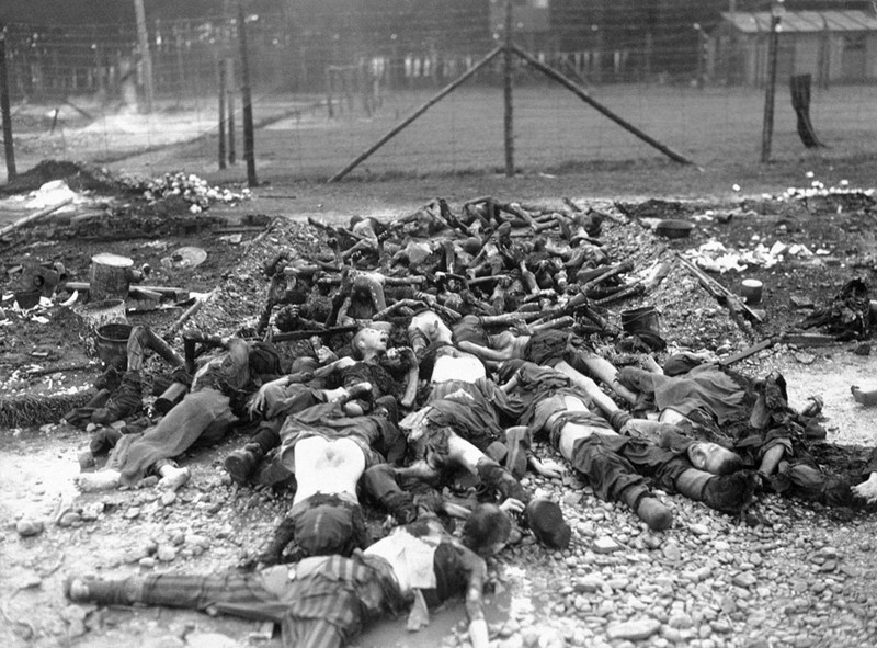 Огромное  количество мёртвых обнаружено в немецком лагере в  Schwabmunchen юго-западу от Мюнхена